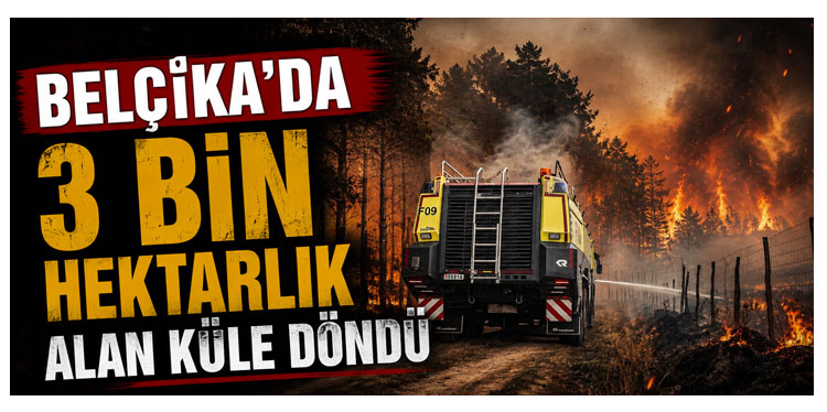 Belçika’da kayıtlara geçen en büyük orman yangını