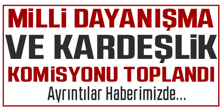Milli Dayanışma, Kardeşlik ve Demokrasi Komisyonu’nun 17. toplantısı sona erdi