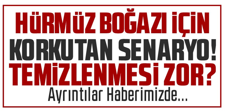 WP: Hürmüz Boğazı'ndaki mayınların tamamen temizlenmesi 6 ay sürebilir