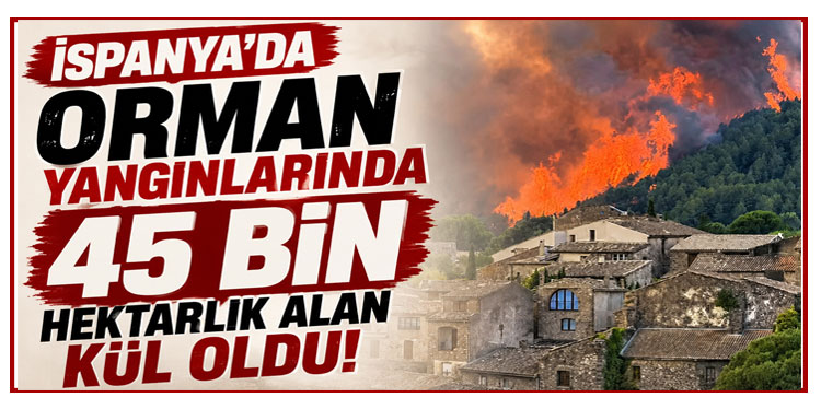 İspanya'daki orman yangınlarında yaklaşık 45 bin hektarlık alan kül oldu