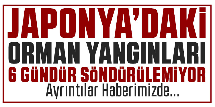 Japonya'daki orman yangınlarında 6 gün geride kaldı, bin 618 hektarlık alan küle döndü