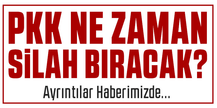 Kritik aşama başlıyor! DEM Parti: PKK haftaya silah bırakacak